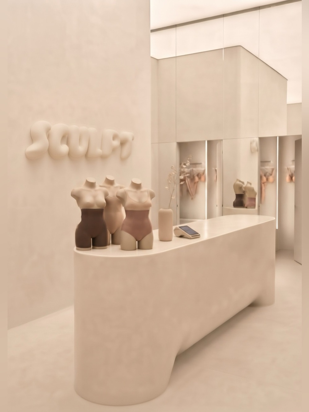 Sculpt Premium Shapewear studio, skims, Pinsy, cakes seamless and sculpting shop